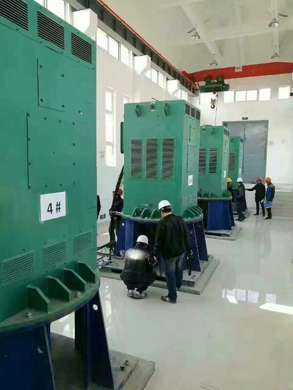 西沙某污水处理厂使用我厂的立式高压电机安装现场安装尺寸